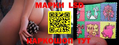 гашик Донецк