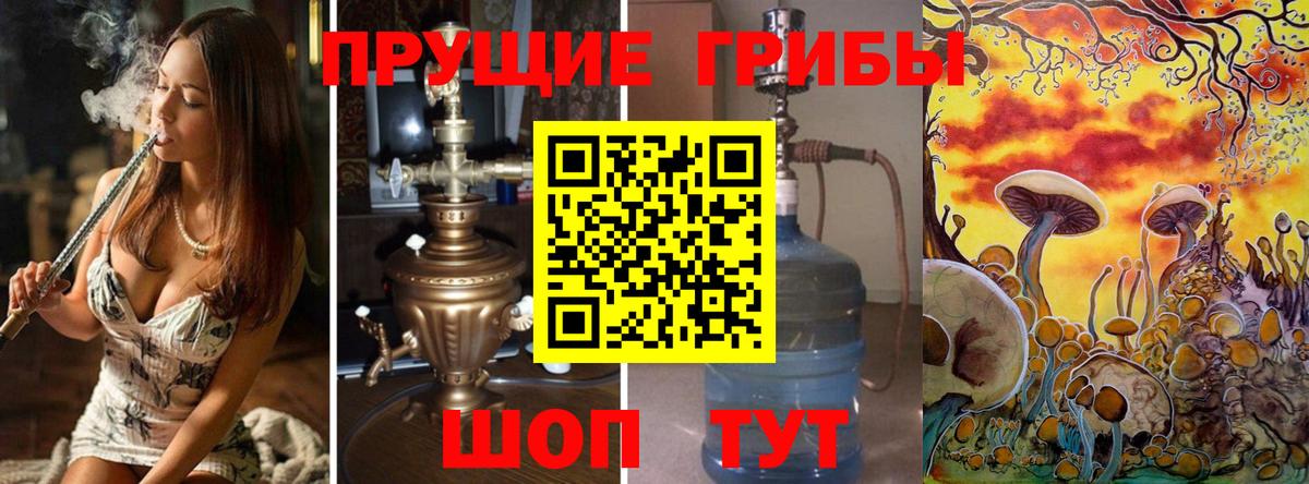 Галлюциногенные грибы Psilocybine cubensis Рязань